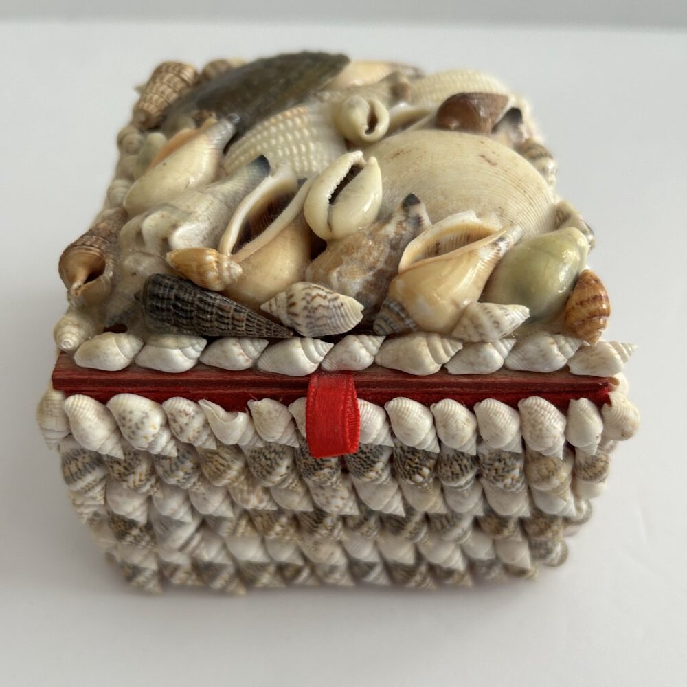 Shell Jewelry Storage Box red velvet lined; Container - Beachy and Unique